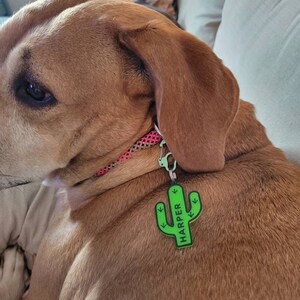Jana added a photo of their purchase
