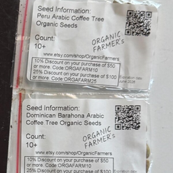 Red Rice Organic Seeds, 100+ Count Red Rice Seed, Rice Plant Seeds for ...