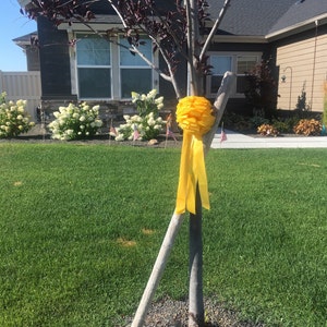 Audrey added a photo of their purchase