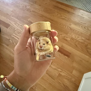Megan ha añadido una foto de su compra