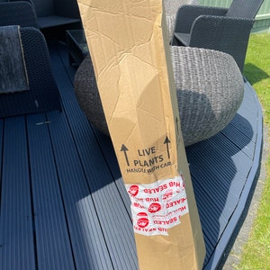 Cara ha añadido una foto de su compra