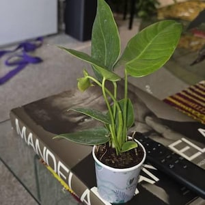 Kristle added a photo of their purchase