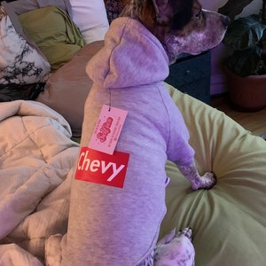 Custom Dog Hoodie Personalized Dog Hoodie Grey Dog Hoodie Pullover Dog