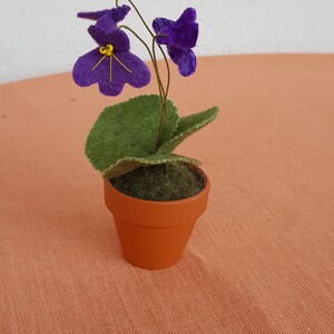 Sonja さんが購入した商品の写真を追加しました