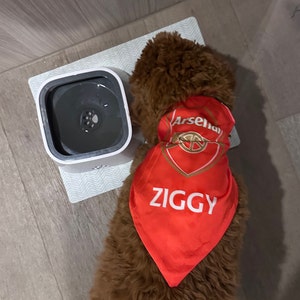 Danny added a photo of their purchase