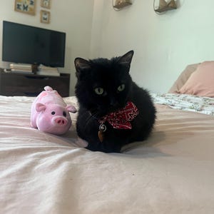 Cassidy added a photo of their purchase