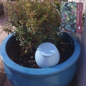 Anne added a photo of their purchase
