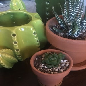 Inactive account added a photo of their purchase