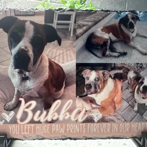 Renee added a photo of their purchase