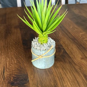 Barbara added a photo of their purchase