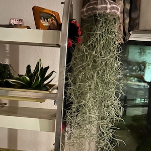 Ruth added a photo of their purchase