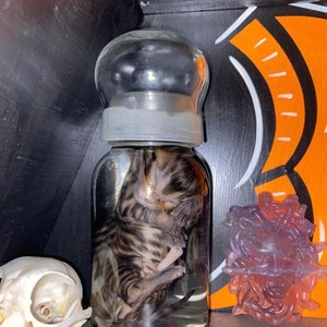 Fay added a photo of their purchase