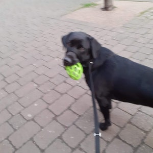 Cass added a photo of their purchase