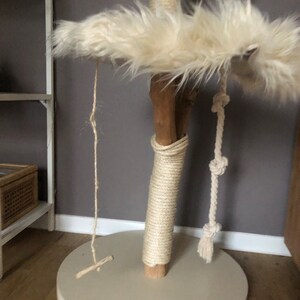 lara added a photo of their purchase