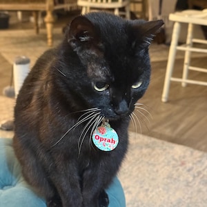 Comprador de Etsy ha añadido una foto de su compra