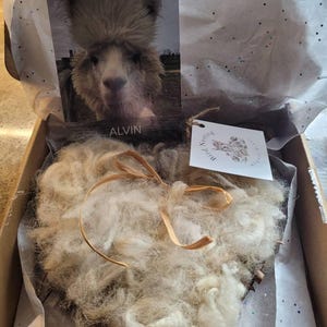 Candice added a photo of their purchase