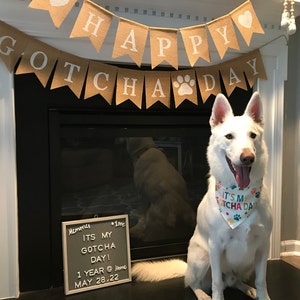 Ann added a photo of their purchase