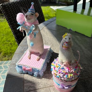 Tammy added a photo of their purchase
