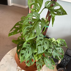 Andrea added a photo of their purchase