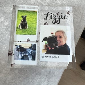 Tracey a ajouté une photo de son achat