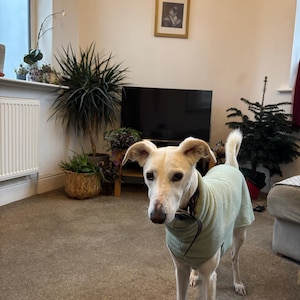 Jack added a photo of their purchase