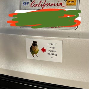 benny added a photo of their purchase