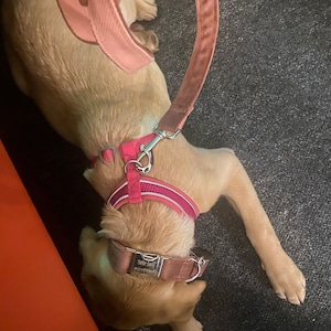 Phoebe hat ein Foto des gekauften Artikels hinzugefügt