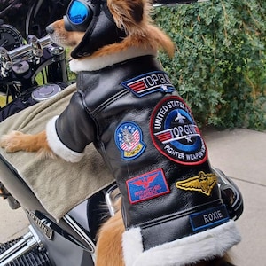 Dog harley davidson jacket deals