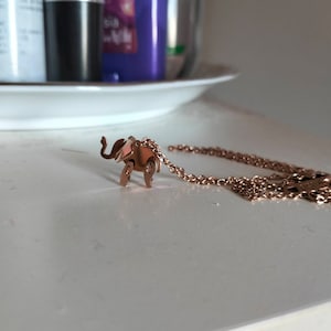 Amelia added a photo of their purchase