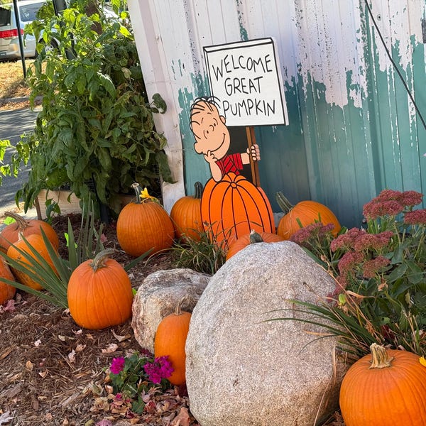 Welcome Great Pumpkin Snoopy Outdoor Halloween Decoration - Etsy