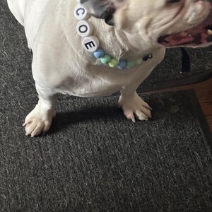 Stacey heeft een foto van zijn/haar aankoop toegevoegd