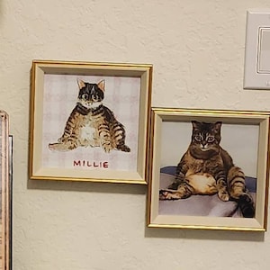 Rodd ha aggiunto una foto del proprio acquisto