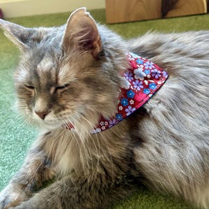 Stephanie added a photo of their purchase
