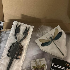 Gabrielle added a photo of their purchase