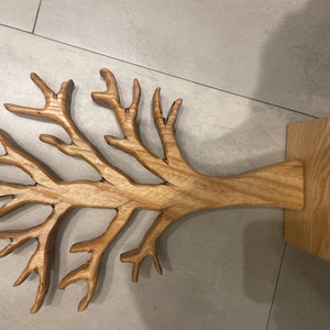 Adam added a photo of their purchase