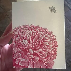 Shannon adicionaram uma foto da sua compra