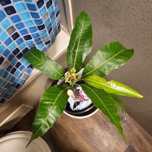 Alex added a photo of their purchase