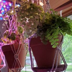 Annie ha añadido una foto de su compra