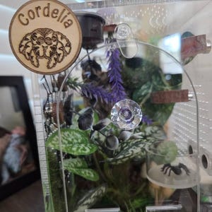 Josabet added a photo of their purchase