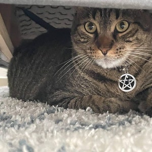 Artemis added a photo of their purchase