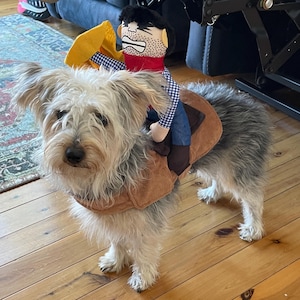 Lisa added a photo of their purchase
