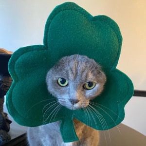 Lucky Clover Shamrock Pet Hat for Cats, Dogs, and Small Pets - Etsy