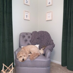 Scottie added a photo of their purchase