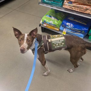 William added a photo of their purchase
