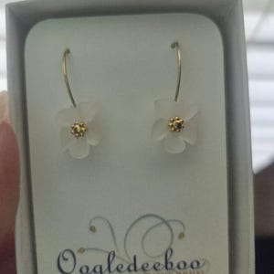 Lidia added a photo of their purchase