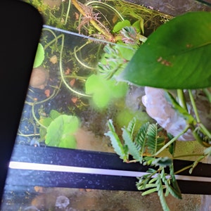 Brittney added a photo of their purchase