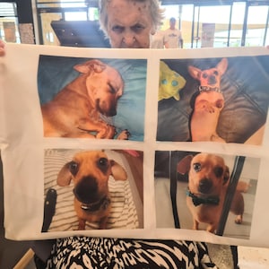 Judith added a photo of their purchase