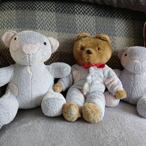 Leigh added a photo of their purchase