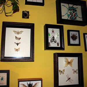 Odessa added a photo of their purchase