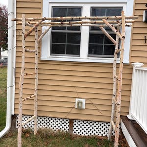Linnea added a photo of their purchase